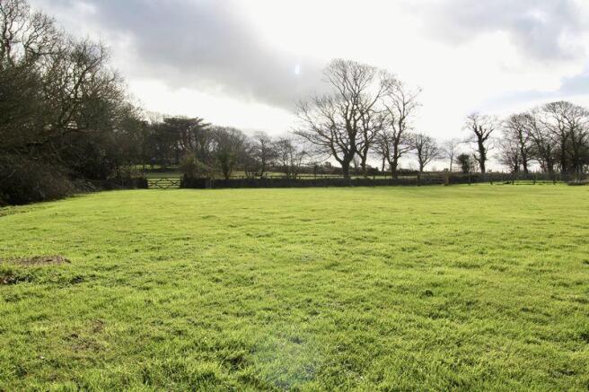 Grounds 