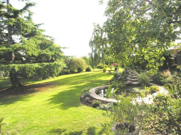 View of Garden