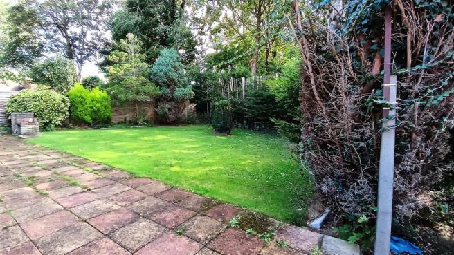 Back Garden.jpg