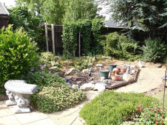 Photo 11