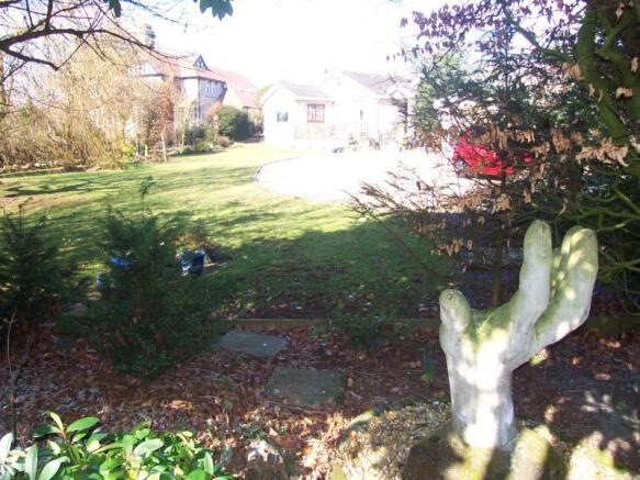 Image 19