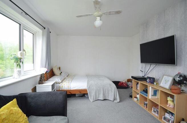 Lounge/Bedroom