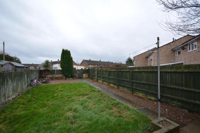 Back Garden