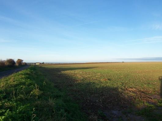 RINGSTEAD