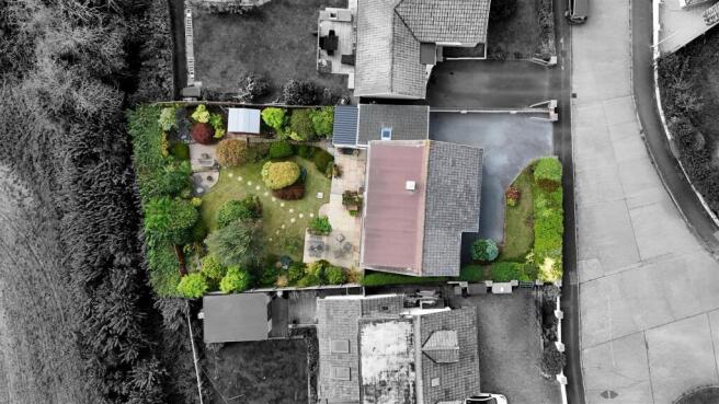 Birds Eye-4.jpg