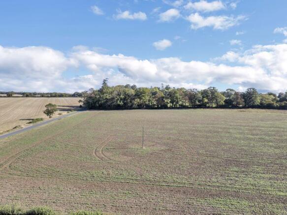 Field Views