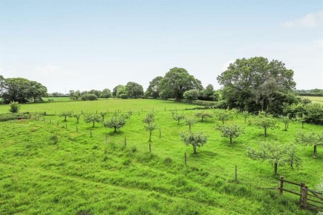 Paddock & Orchard