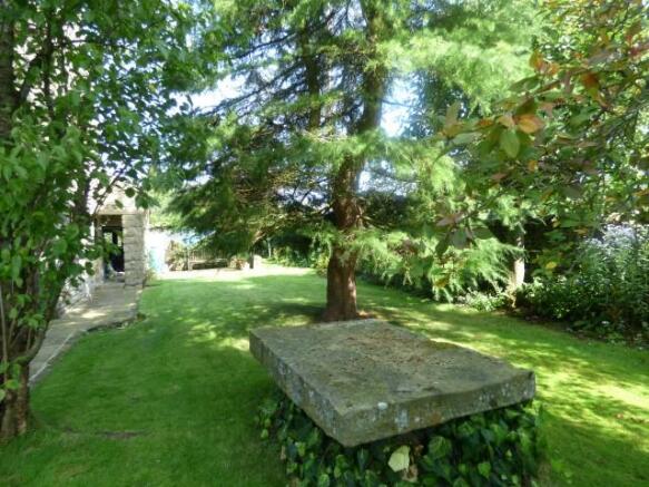 Photo 29