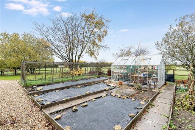 Vegetable Plot