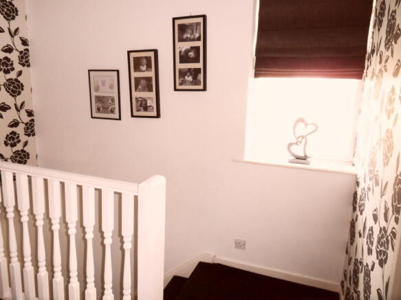Extra image 5