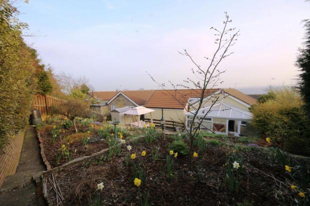Garden 2