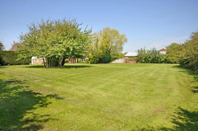 Garden 1