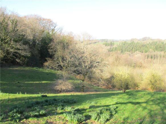 Woodland View