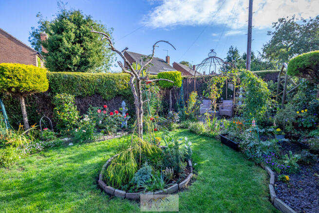 Back garden 1.4