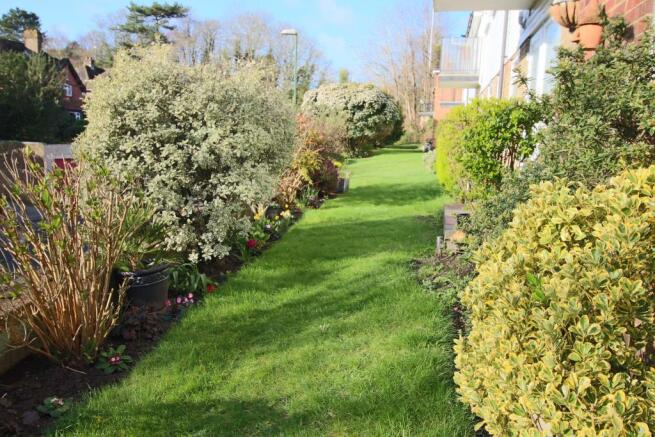 Communal Garden 