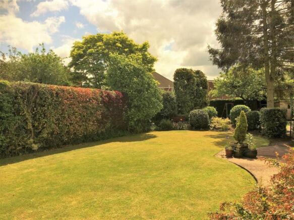 rear garden 2.JPG