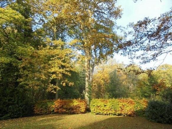 side garden