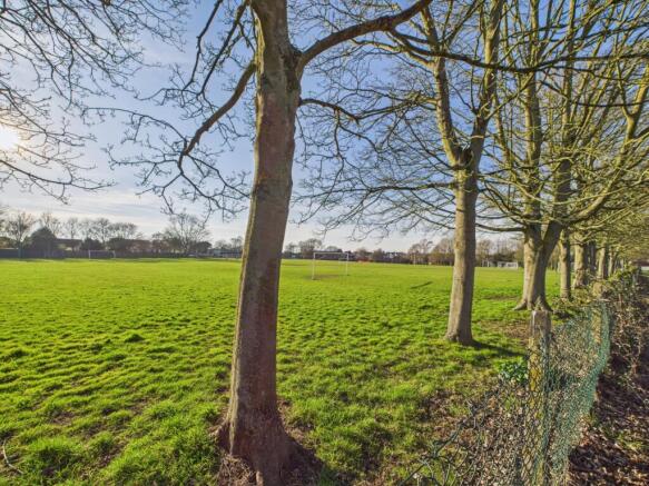 Local Playing Field