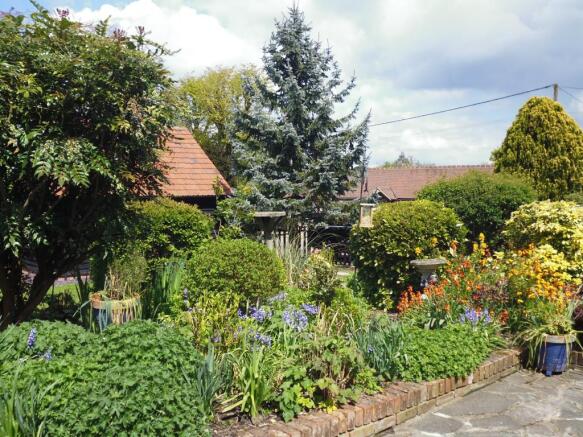 Garden in bloom
