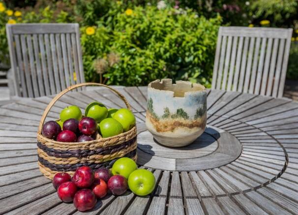 Fruit & veg garden