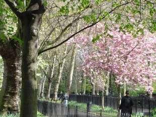 Park