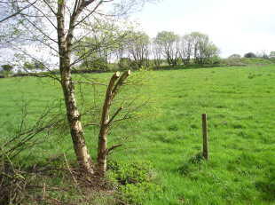 View from rear