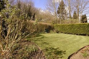 Garden Photo 1