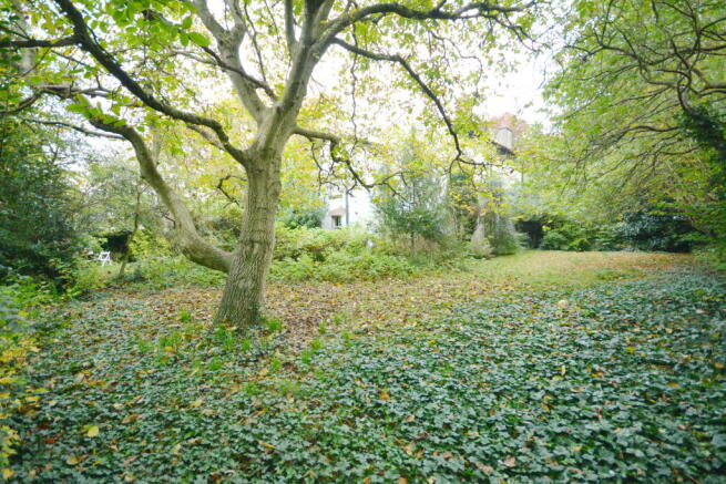 DSC_5660.JPG