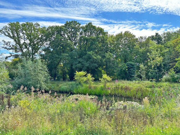 Local Pond