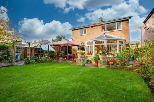 Back Garden 4