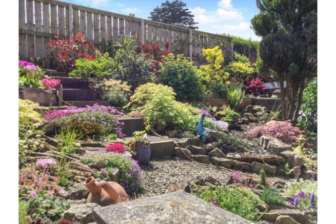 Mature Garden
