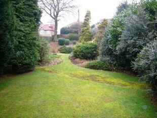 Garden 2