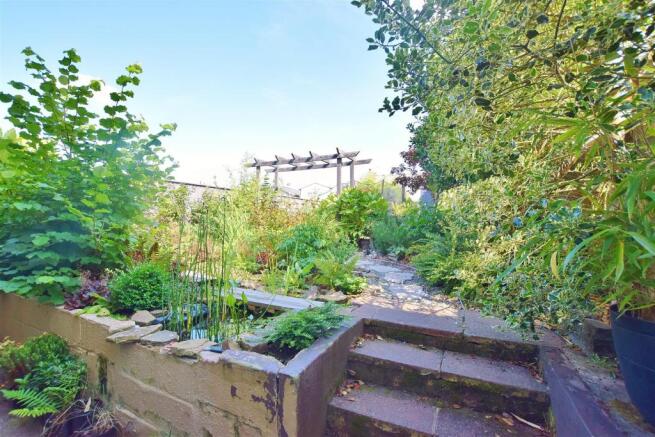 garden 1.jpg