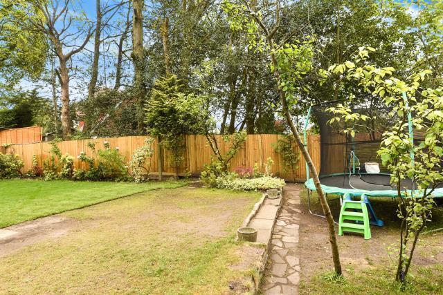 Garden 2
