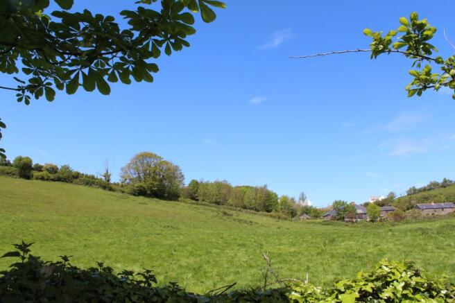 View from garden