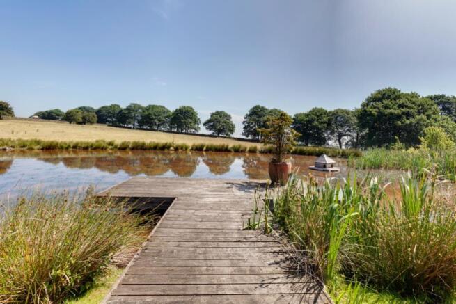 Pond