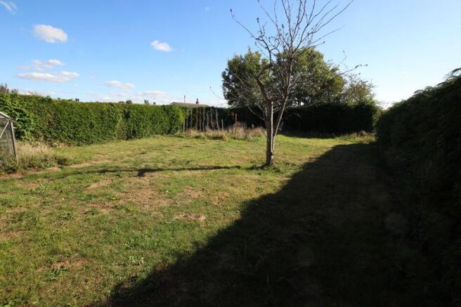 Rear garden
