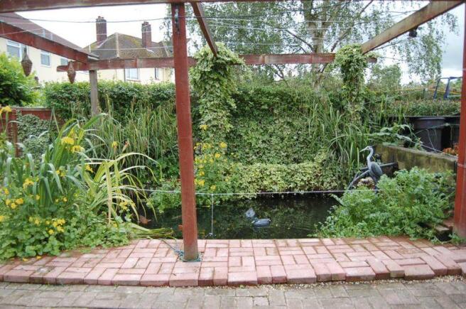 Photo 26 pond