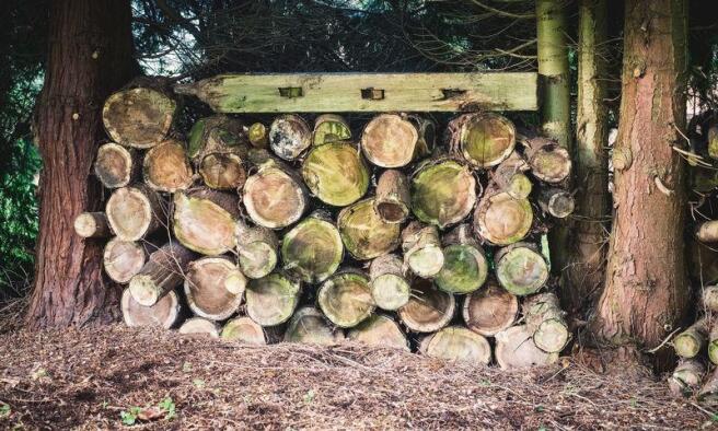 Logs