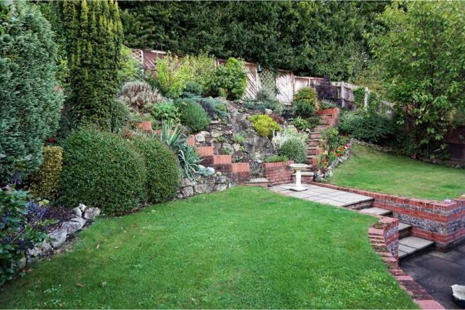 Mature Garden