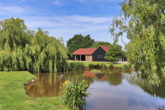View From Pond