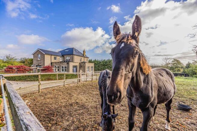 Highbank House, G...