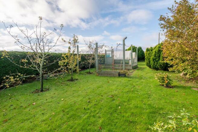 GARDEN AGAIN