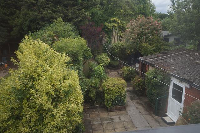 Garden from bed 3