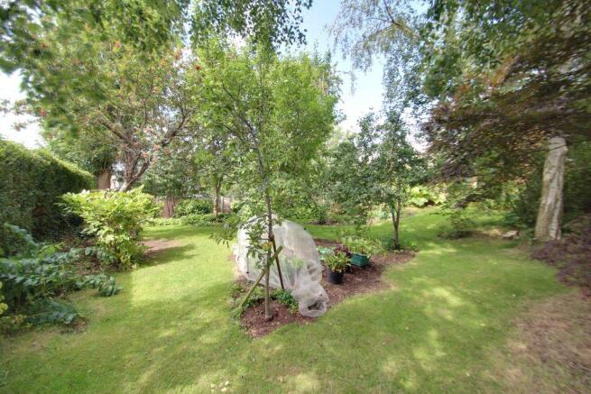 Garden at Back