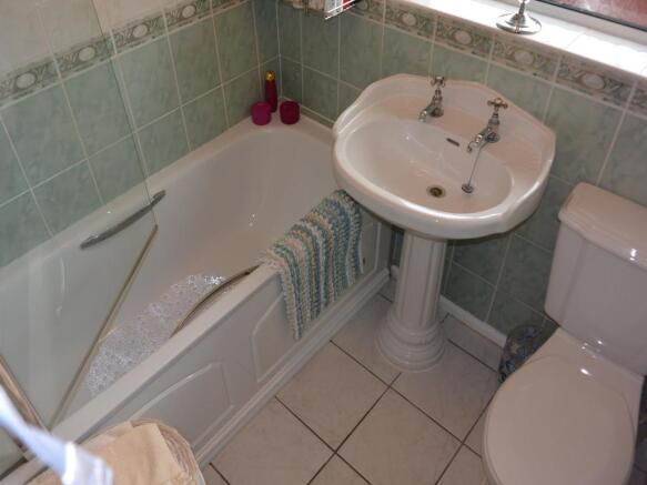 Image 7