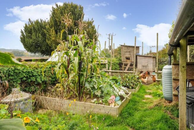 Productive kitchen garden