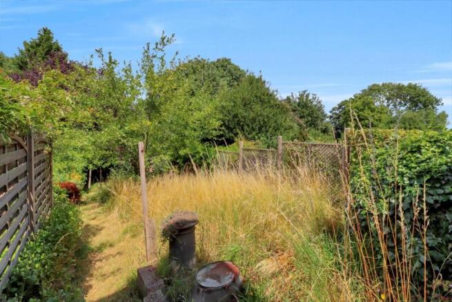garden.jpg