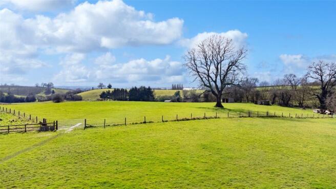 Pasture Paddocks