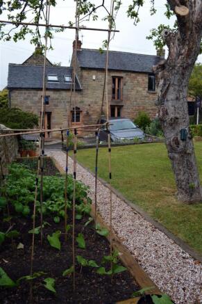 Vegetable patches.JPG